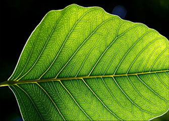 让生活更美好的ddos攻击在哪能买到